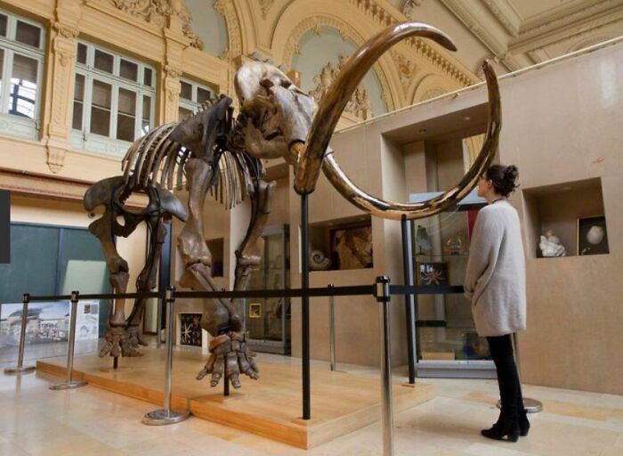 Today-I-Learned-Fact-Knowledge