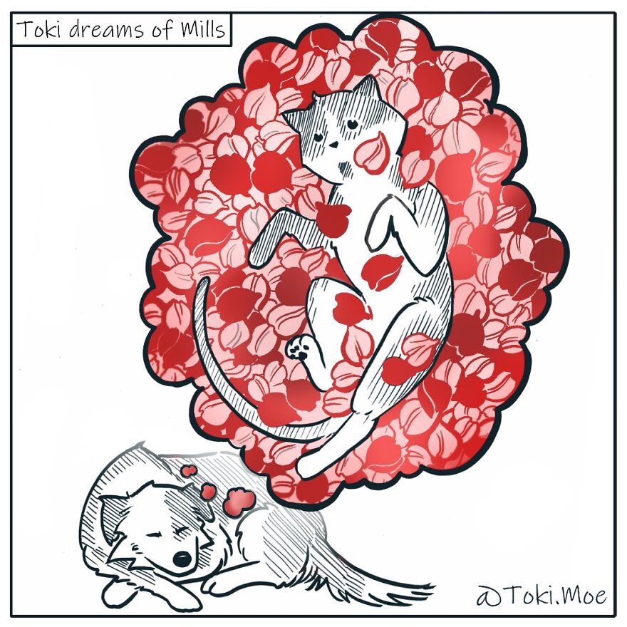 My 27 More Comics And 2 New Animations That Show What It’s Like To Live With A Cat And A Dog