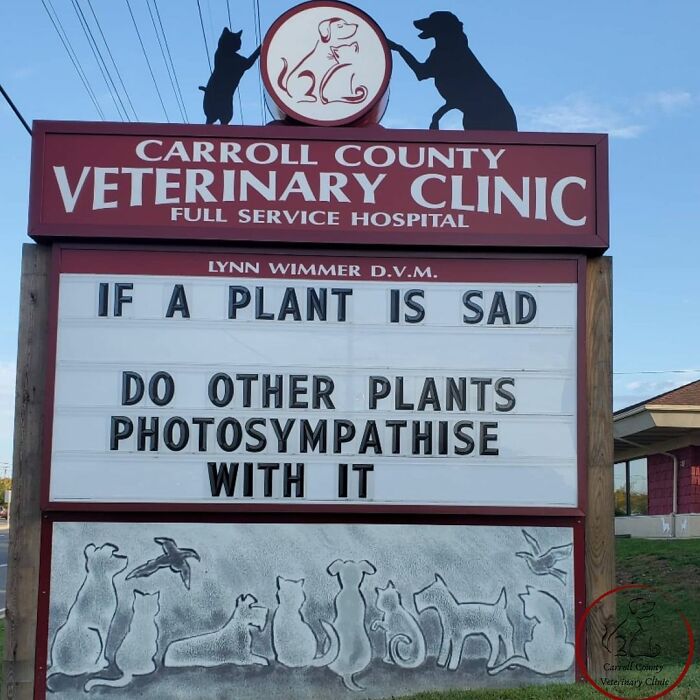 Veterinary-Clinic-Sings-Carrol-Country