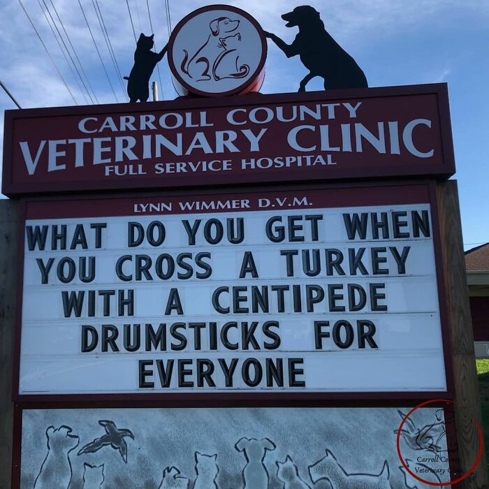 Veterinary-Clinic-Sings-Carrol-Country
