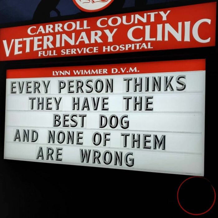 Veterinary-Clinic-Sings-Carrol-Country