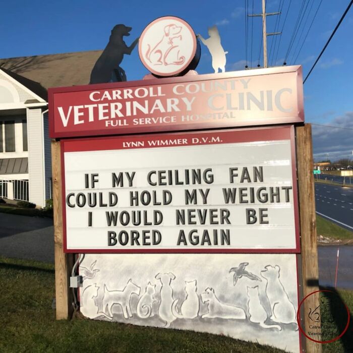 Veterinary-Clinic-Sings-Carrol-Country