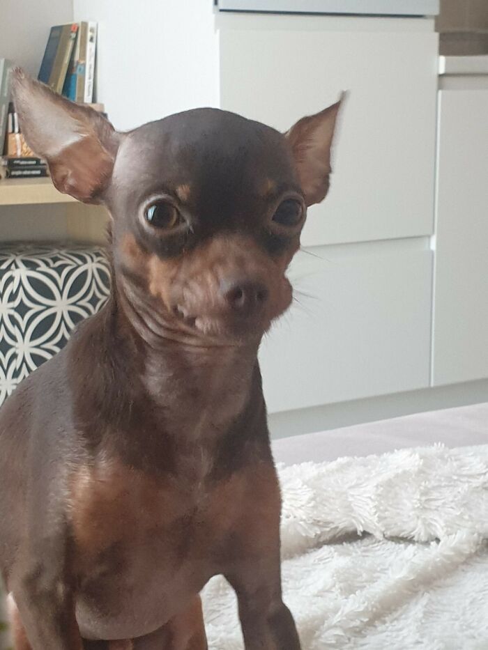 My Face When I Post A Funny Meme In A Group Chat And Everyone Ignores It