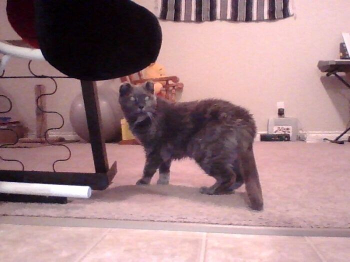 Sadie Was Caught Completely Off Guard By My Flash