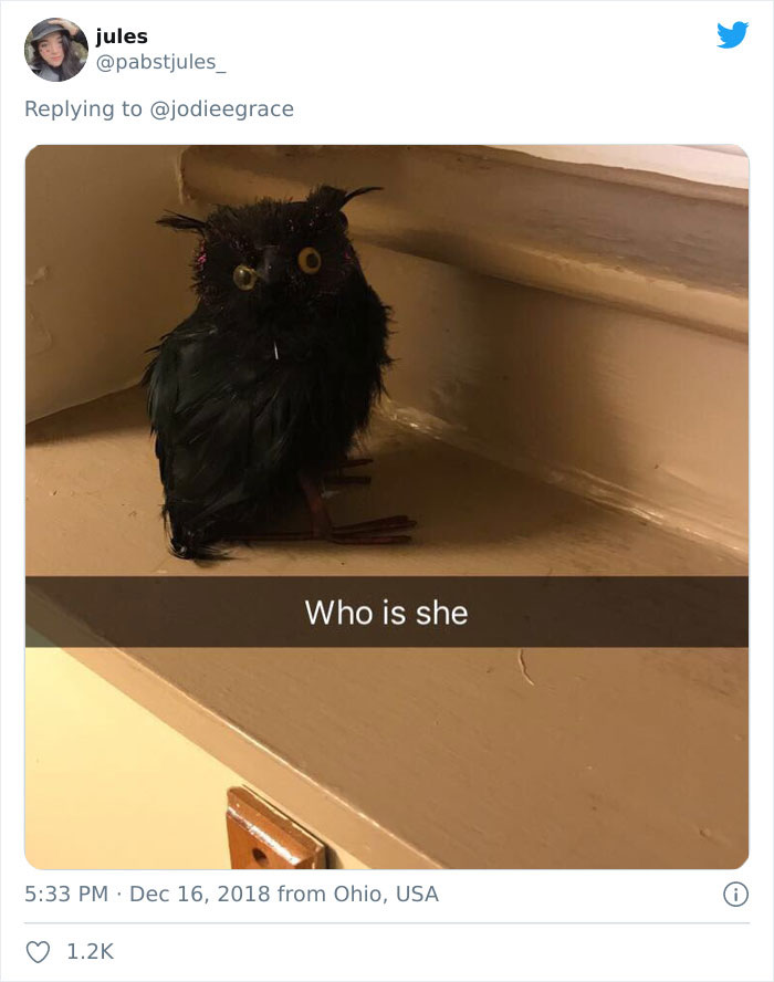 Weirdest-Thing-Boyfriend-Bathroom-Toilet-Twitter