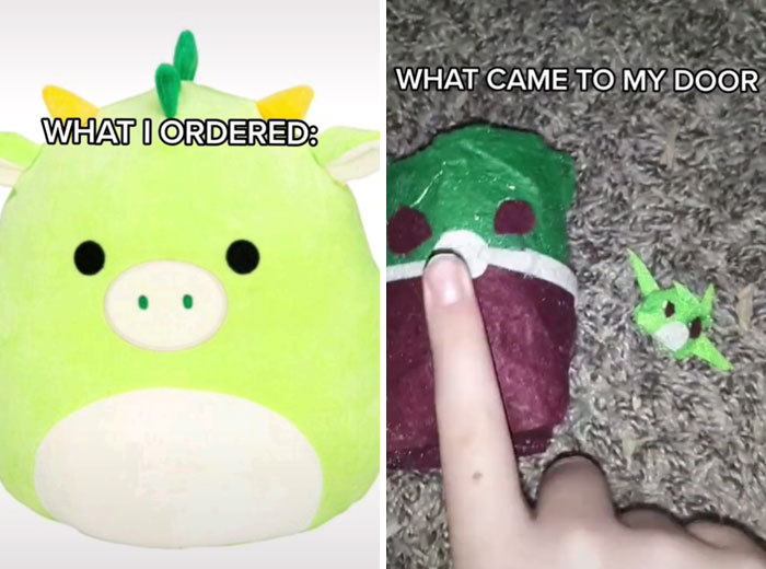 What-People-Wanted-vs.-What-They-Got-Tiktok