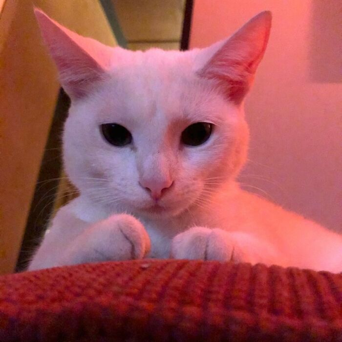 Another One Of Her Being Pretty