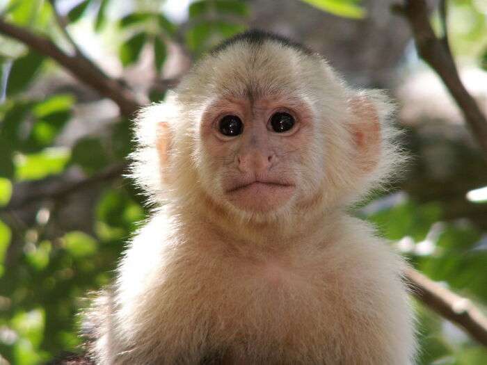 Zookeepers Anonymously Reveal The Darkest Zoo Secrets They Keep Shut Behind Bars (35 Pics)