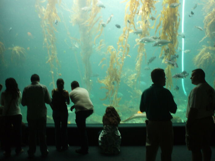 Zookeepers Anonymously Reveal The Darkest Zoo Secrets They Keep Shut Behind Bars (35 Pics)