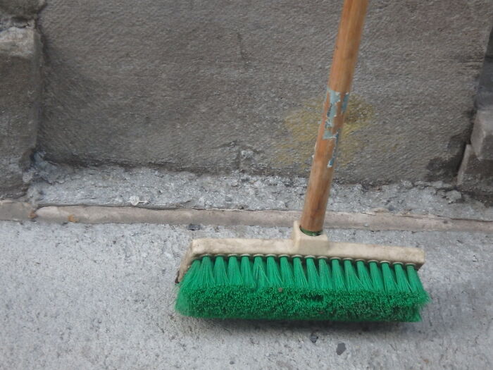 Zookeepers Anonymously Reveal The Darkest Zoo Secrets They Keep Shut Behind Bars (35 Pics)