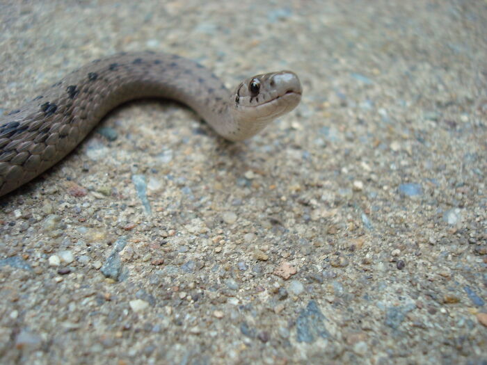 Zookeepers Anonymously Reveal The Darkest Zoo Secrets They Keep Shut Behind Bars (35 Pics)