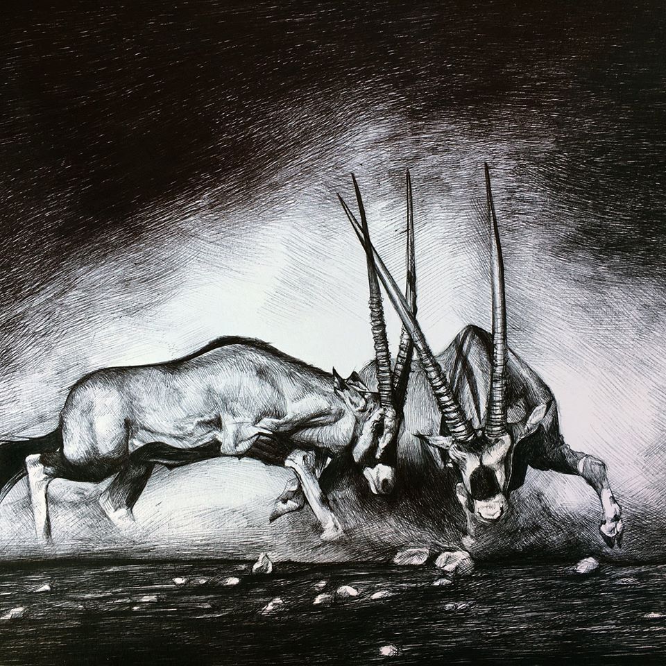 J’ai Dessiné 40 Animaux Au Crayon