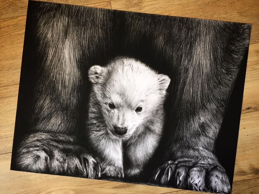 J'ai Dessiné 40 Animaux Au Crayon