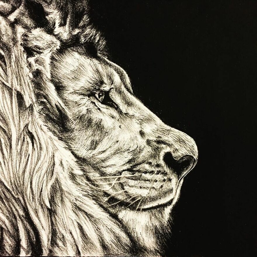 J'ai Dessiné 40 Animaux Au Crayon