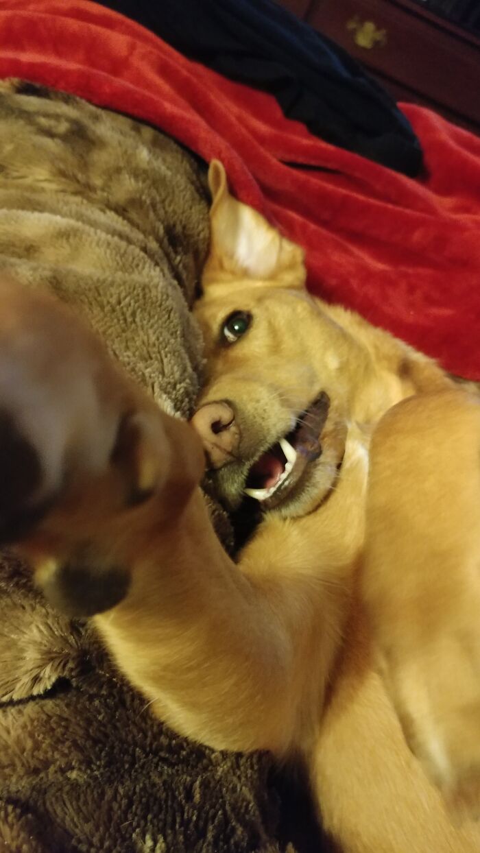 Is This My Good Side?