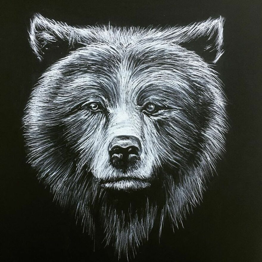 J'ai Dessiné 40 Animaux Au Crayon