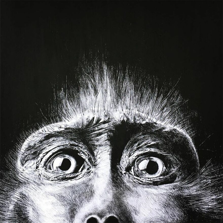 J'ai Dessiné 40 Animaux Au Crayon