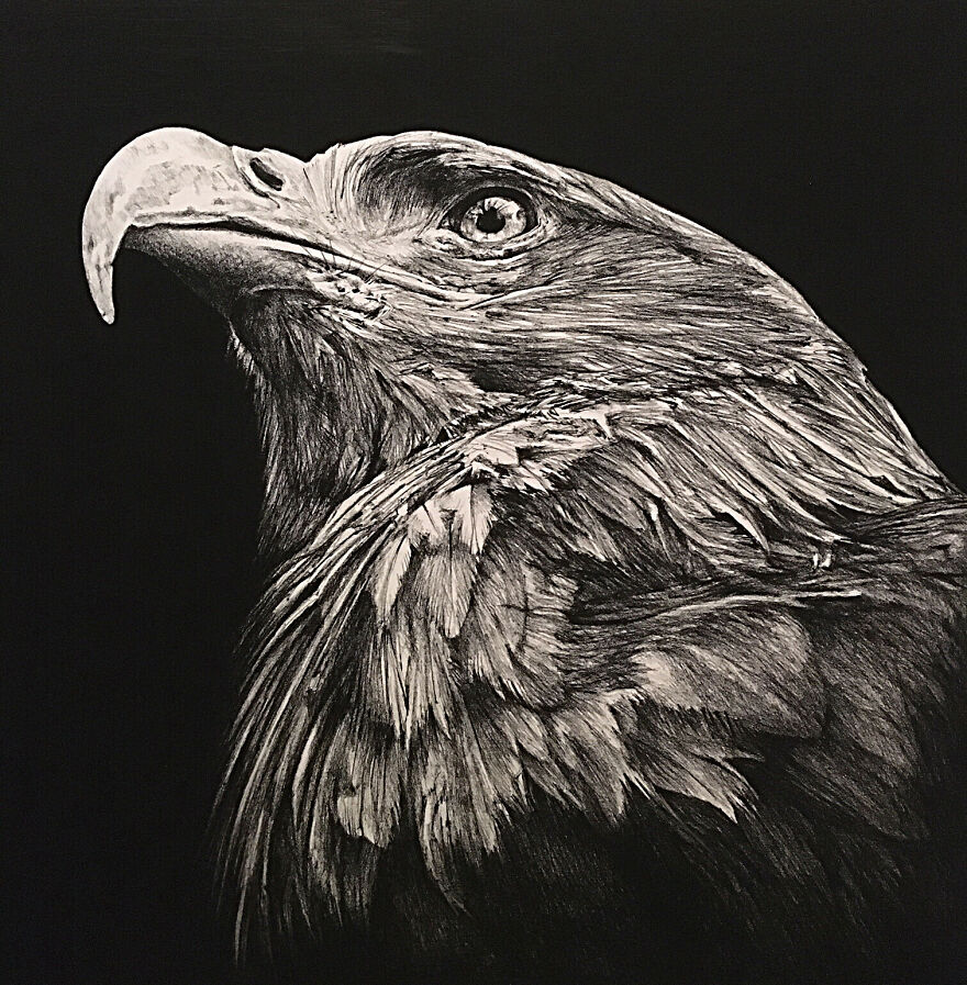 J'ai Dessiné 40 Animaux Au Crayon