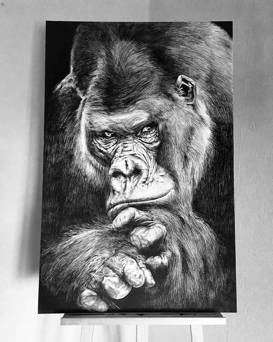 J'ai Dessiné 40 Animaux Au Crayon