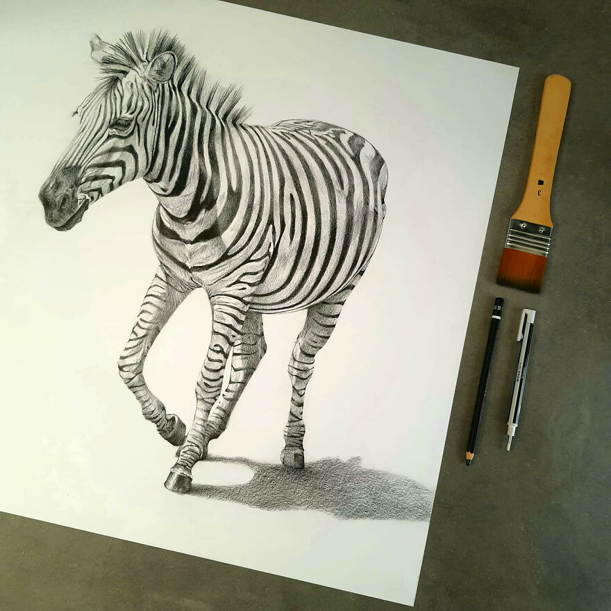 J'ai Dessiné 40 Animaux Au Crayon