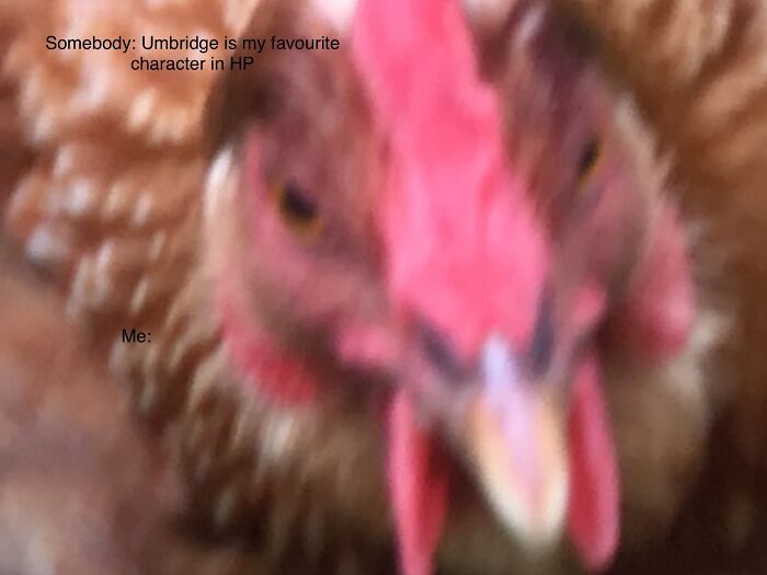 Staring My Chicken, Marshmello!