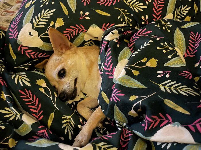 Switch Off The Light And Let Me Sleep