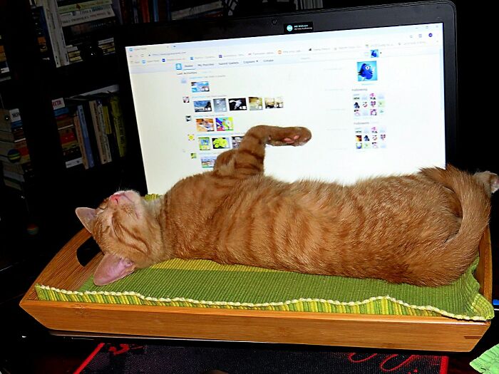 The Game Is Over ! 😊