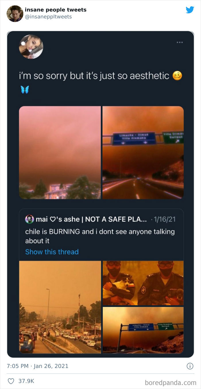 Insane-People-Tweets