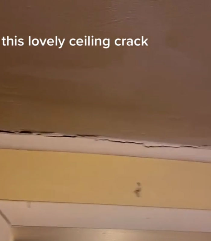 Landlord Wants To Increase The Rent, Tenant 'Sabotages' Apartment Showings By Putting Every Problem In Her Apartment On Display Landlord Wants To Increase The Rent, Tenant 'Sabotages' Apartment Showings By Putting Every Problem In Her Apartment On Display