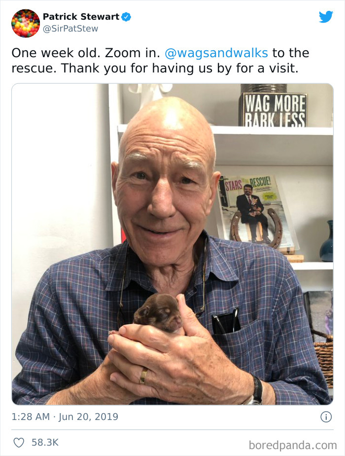 Sir Patrick Stewart With A 1-Week-Old Puppy