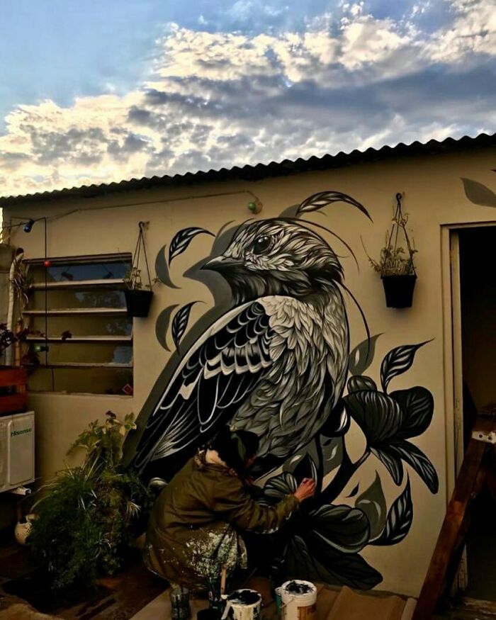 Murals-Wildlife-Instagram-Fio-Silva