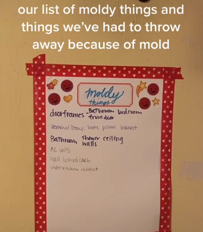 Landlord Wants To Increase The Rent, Tenant 'Sabotages' Apartment Showings By Putting Every Problem In Her Apartment On Display Landlord Wants To Increase The Rent, Tenant 'Sabotages' Apartment Showings By Putting Every Problem In Her Apartment On Display