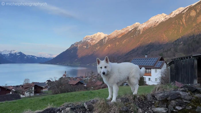 Chinese Propaganda Media Caught Lying Trying To Promote China Using Stolen Footage Of Swiss Alps