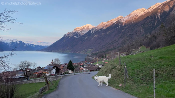 Chinese Propaganda Media Caught Lying Trying To Promote China Using Stolen Footage Of Swiss Alps