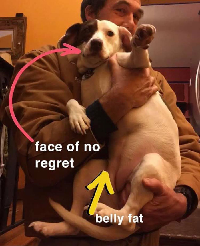 Unflattering-Dog-Photo-Challenge-Facebook-Pt2