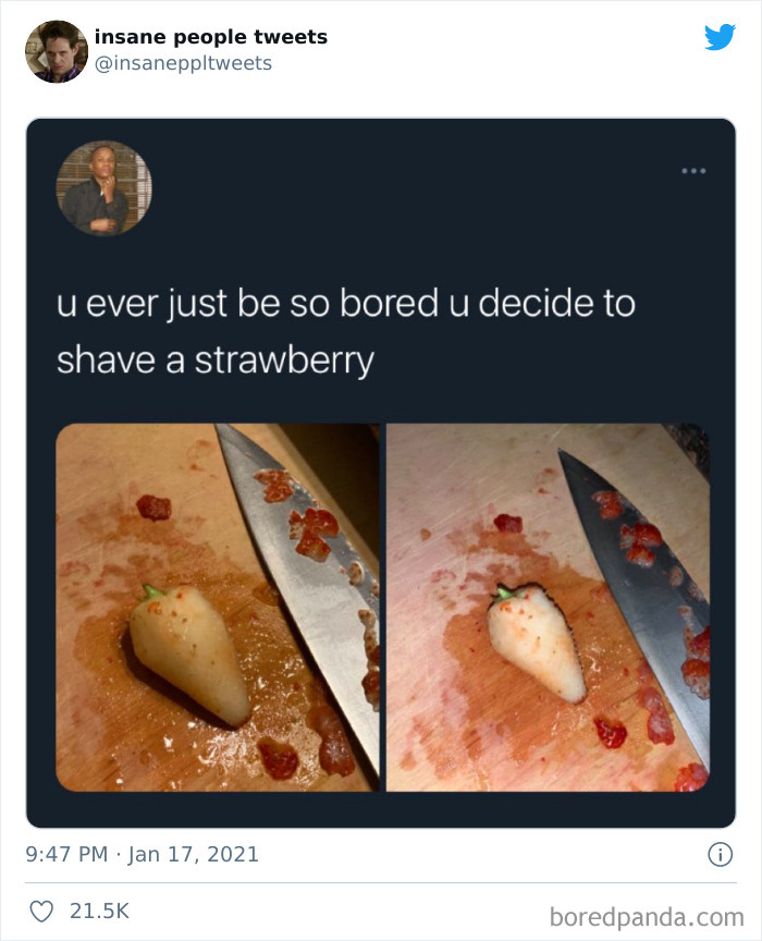 Insane-People-Tweets