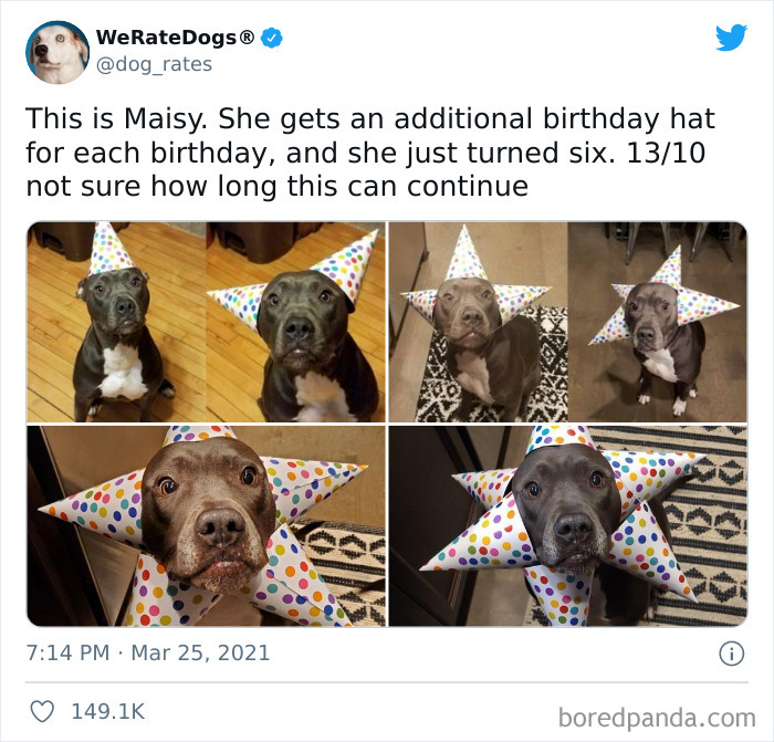 Dog-Rates-Twitter