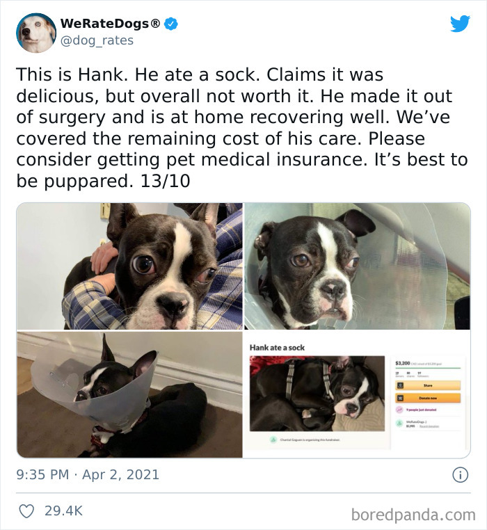 Dog-Rates-Twitter