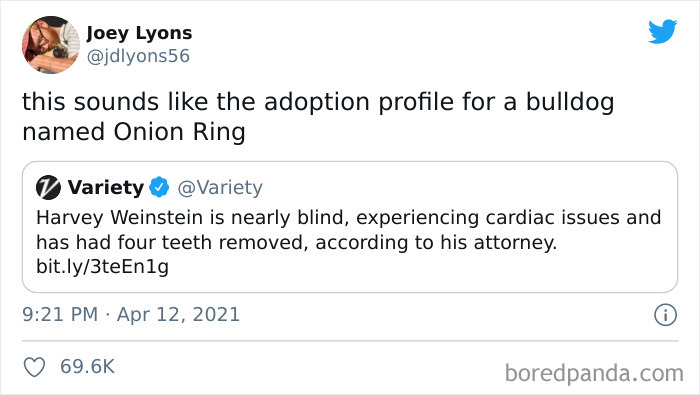 Screw This, I’m Just Gonna Go To Petland