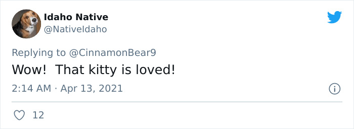 Guy Transforms Empty Space Behind Wall Into Tiny Bedroom For His Cat, Makes Other Cat Parents Feel Bad About Themselves Guy Transforms Empty Space Behind Wall Into Tiny Bedroom For His Cat, Makes Other Cat Parents Feel Bad About Themselves