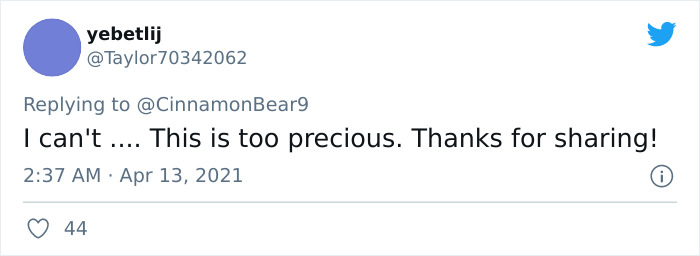 Guy Transforms Empty Space Behind Wall Into Tiny Bedroom For His Cat, Makes Other Cat Parents Feel Bad About Themselves Guy Transforms Empty Space Behind Wall Into Tiny Bedroom For His Cat, Makes Other Cat Parents Feel Bad About Themselves