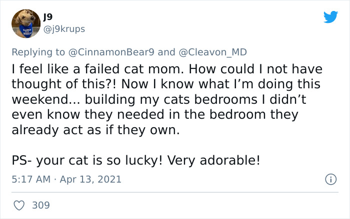 Guy Transforms Empty Space Behind Wall Into Tiny Bedroom For His Cat, Makes Other Cat Parents Feel Bad About Themselves Guy Transforms Empty Space Behind Wall Into Tiny Bedroom For His Cat, Makes Other Cat Parents Feel Bad About Themselves