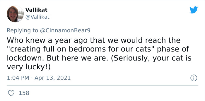 Guy Transforms Empty Space Behind Wall Into Tiny Bedroom For His Cat, Makes Other Cat Parents Feel Bad About Themselves Guy Transforms Empty Space Behind Wall Into Tiny Bedroom For His Cat, Makes Other Cat Parents Feel Bad About Themselves