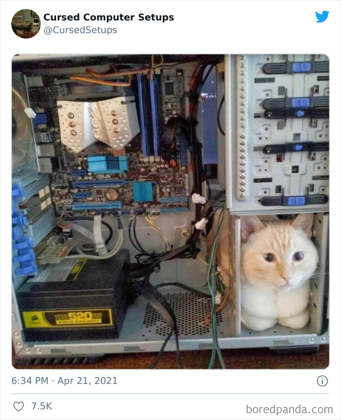 Cursed-Computer-Setups