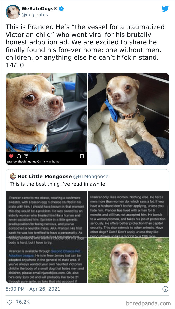 Dog-Rates-Twitter