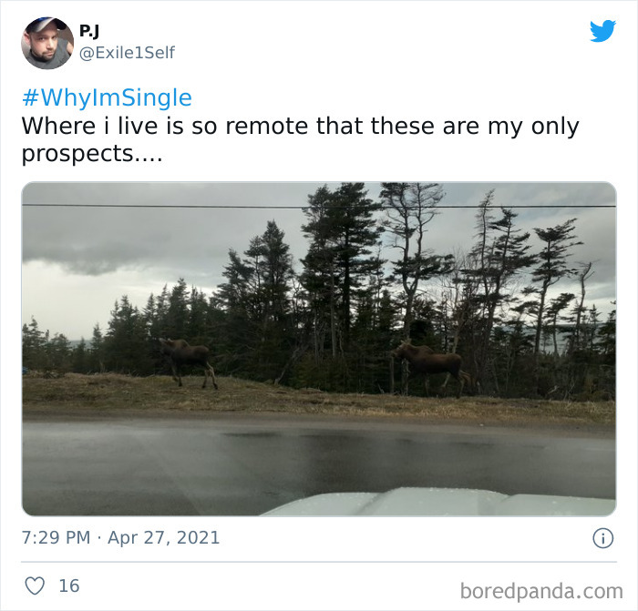 Funny-Single-People-Tweets-Jimmy-Fallon