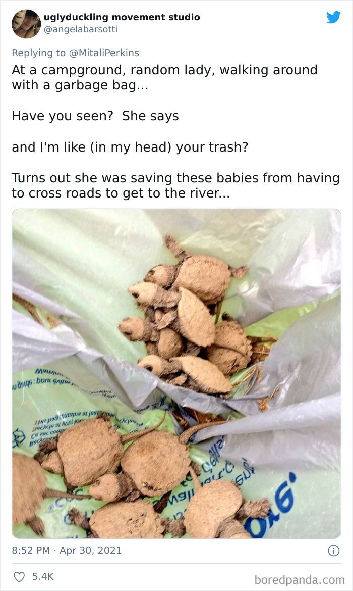 Wholesome-Moments-With-Strangers