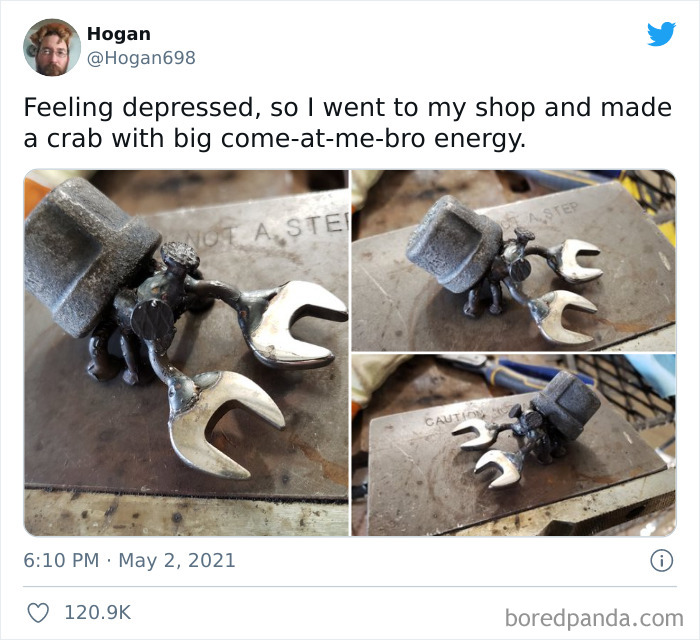 This Crab Will Definitely Defeat Depression