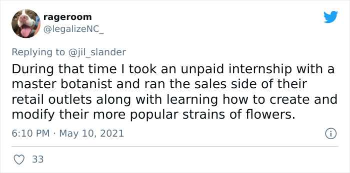 People On Twitter Share “Excuses” For Having A Gap In Their Employment History People On Twitter Share “Excuses” For Having A Gap In Their Employment History