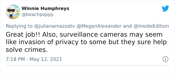 News Anchor Reporting On A Stolen Puppy Sees The Same Dog In The Street, Realizes It's The Kidnapper Walking Him News Anchor Reporting On A Stolen Puppy Sees The Same Dog In The Street, Realizes It's The Kidnapper Walking Him